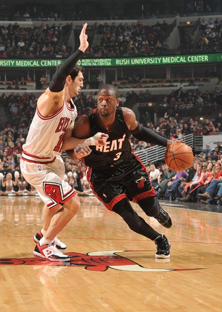 厦门的羽毛 厦门的羽毛