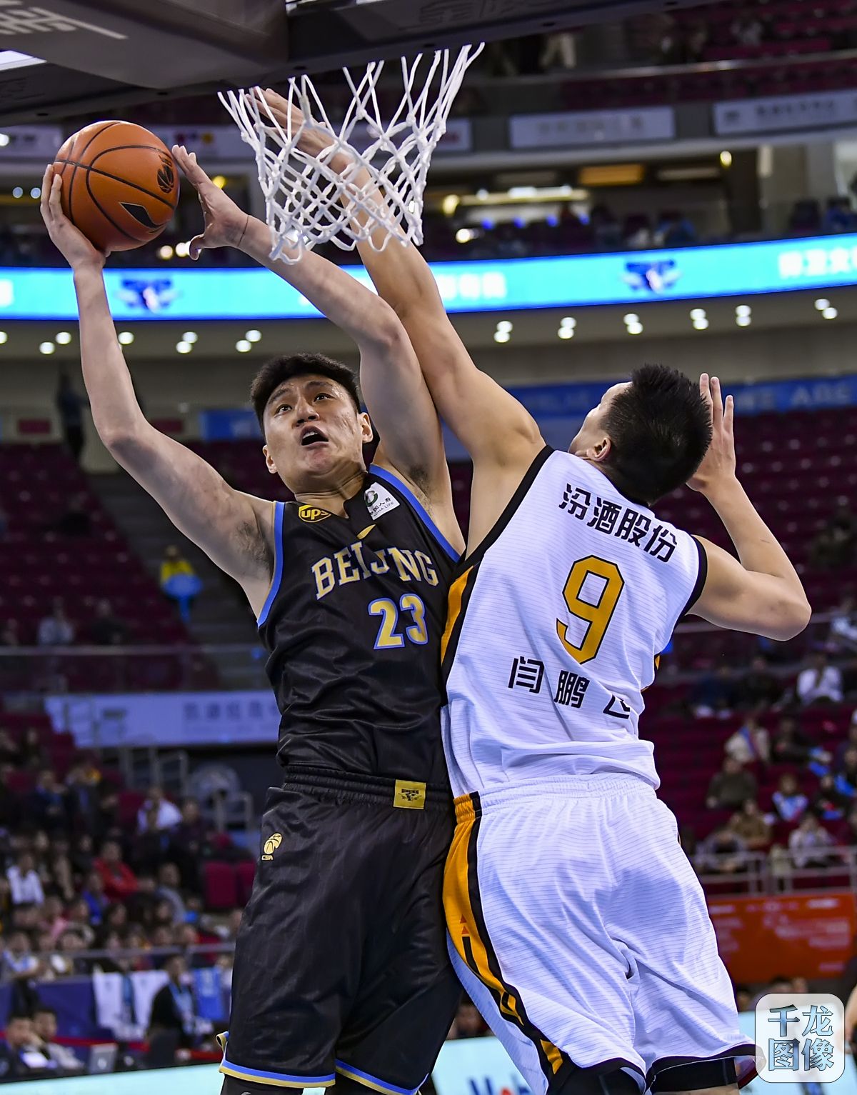 他们更多是 他们更多是