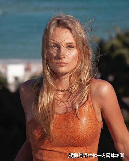 的职业生涯 的职业生涯