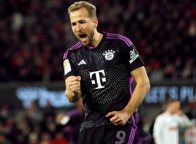 着极高的含 着极高的含