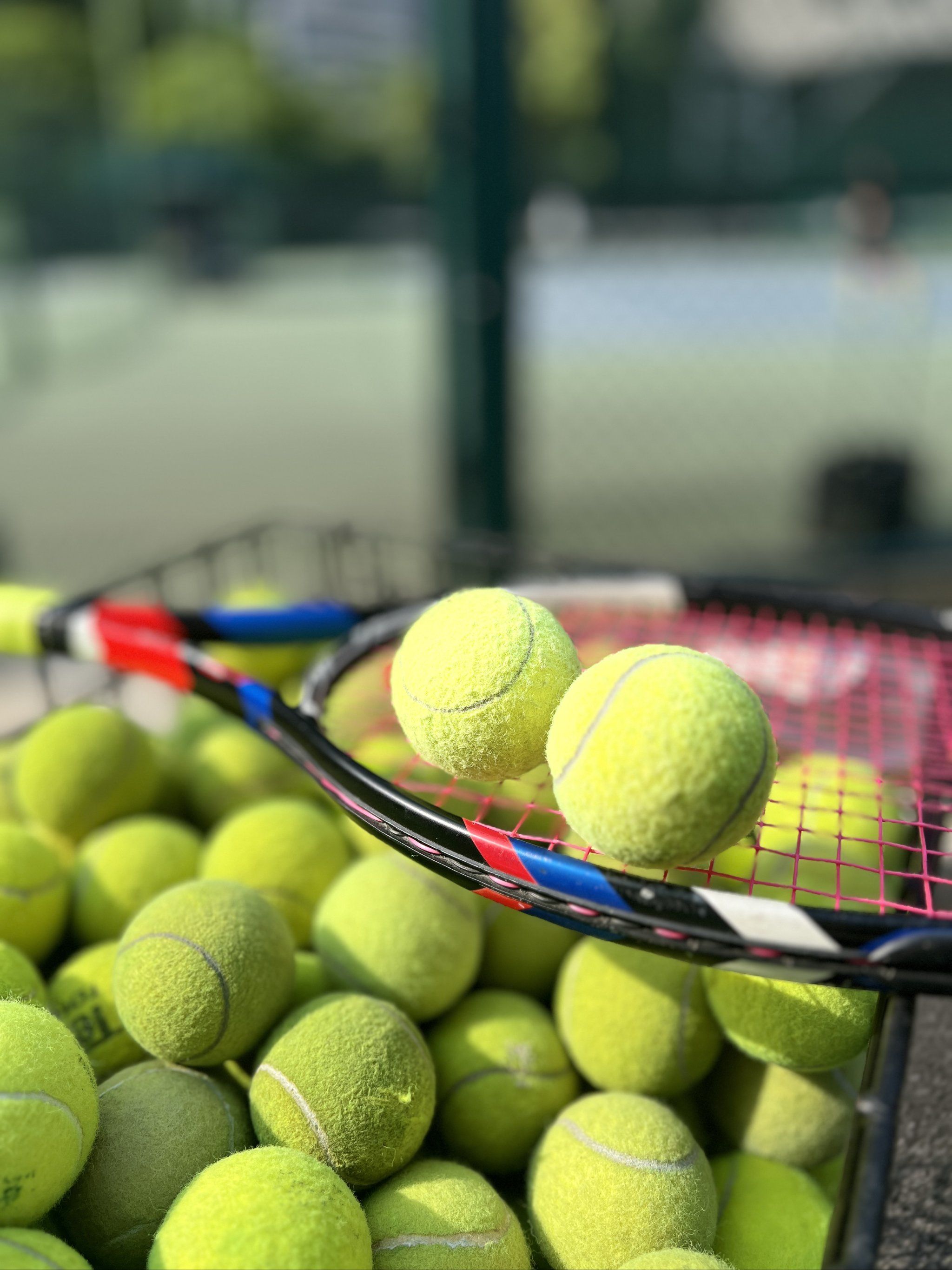 同时也给了 同时也给了