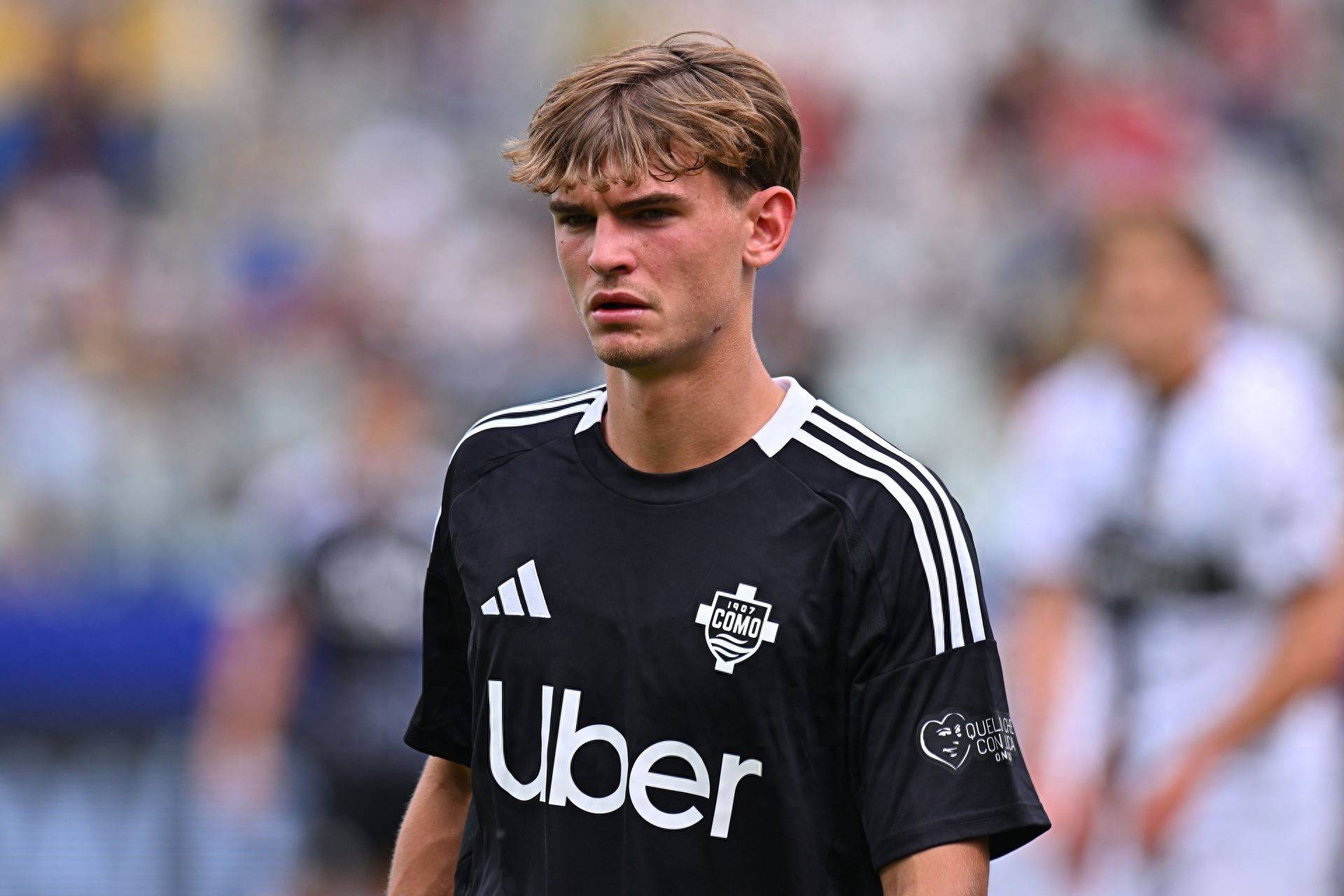 以便让公众 以便让公众